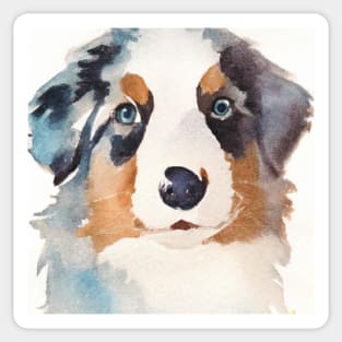 Miniature American Shepherd Watercolor Painting - Dog Lover Gifts Sticker